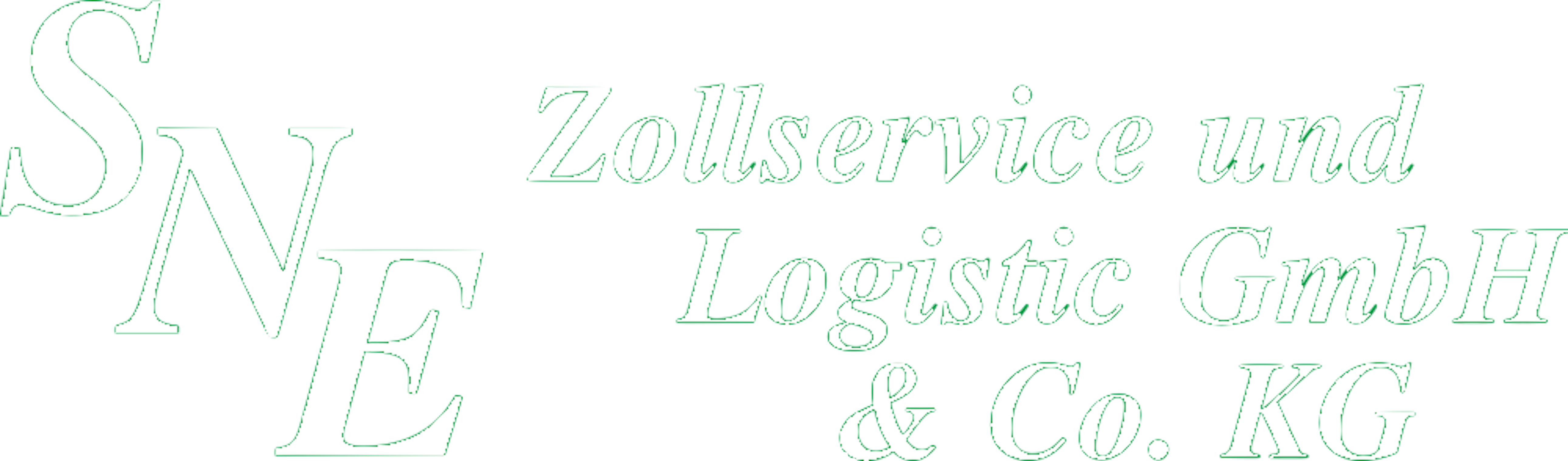 SNE - Zollservice & Logistik